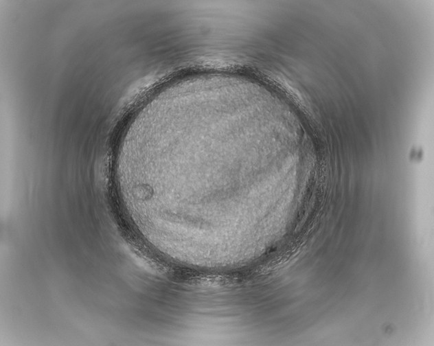 X0000093620736200711051238