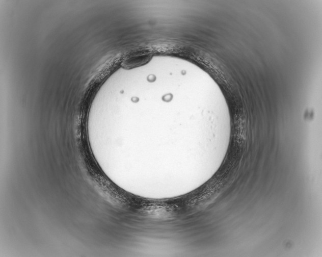 X0000093620738200711051238