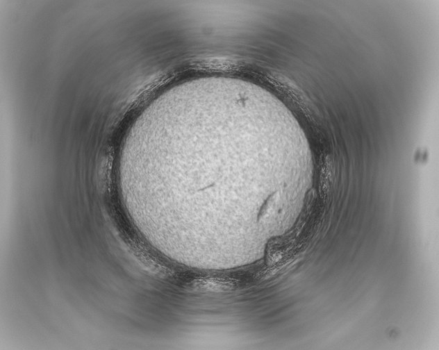 X0000093620739200711051238