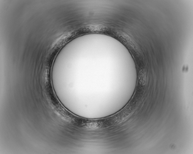 X0000093620740200711051238