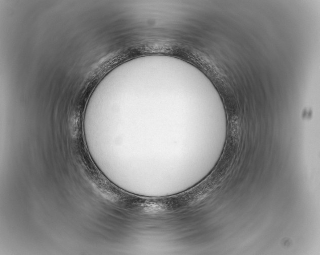 X0000093620741200711051238