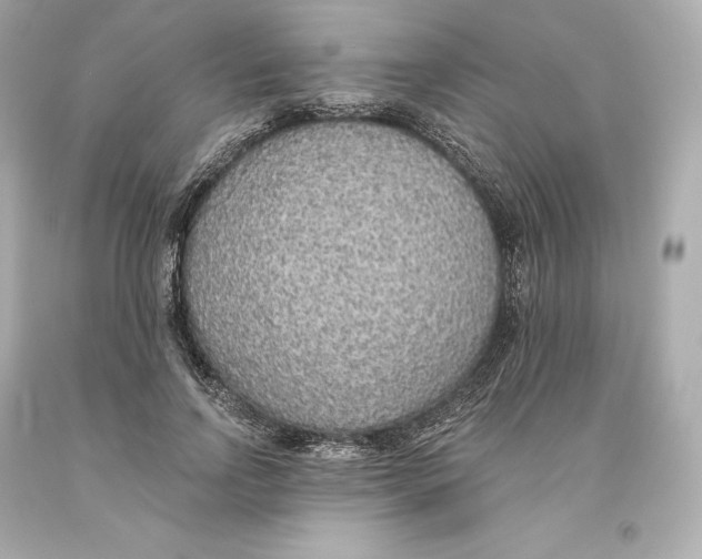 X0000093620742200711051238