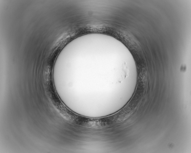 X0000093620744200711051239