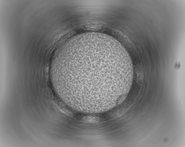 X0000093620745200711051239