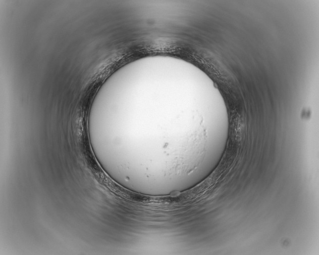 X0000093620746200711051239