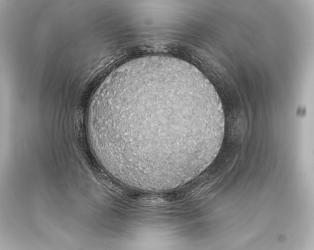 X0000093620747200711051239