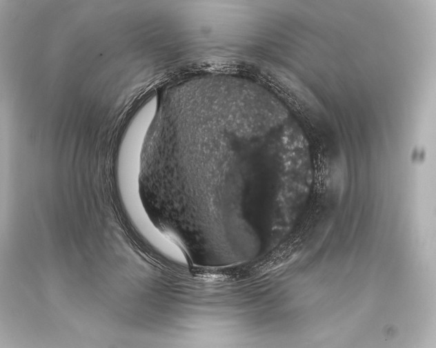 X0000093620748200711051239