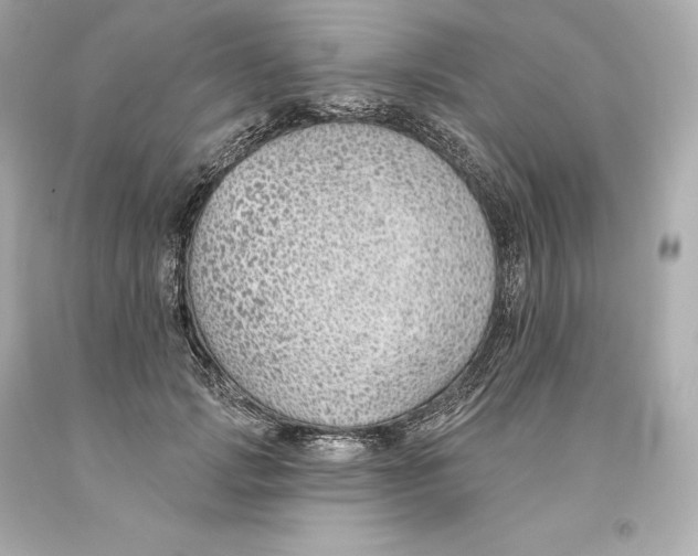 X0000093620749200711051239