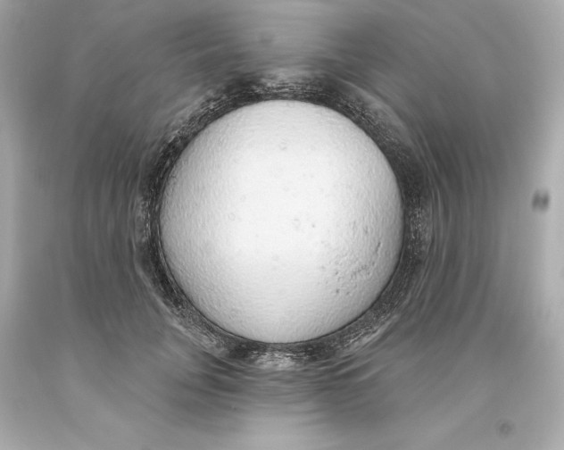 X0000093620751200711051239