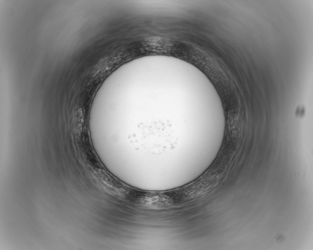 X0000093620752200711051239