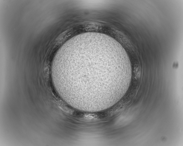 X0000093620753200711051239