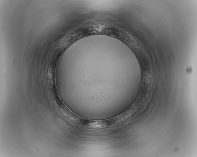 X0000093620754200711051239