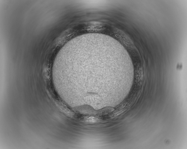 X0000093620755200711051239