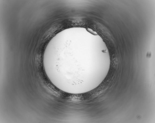 X0000093620756200711051239