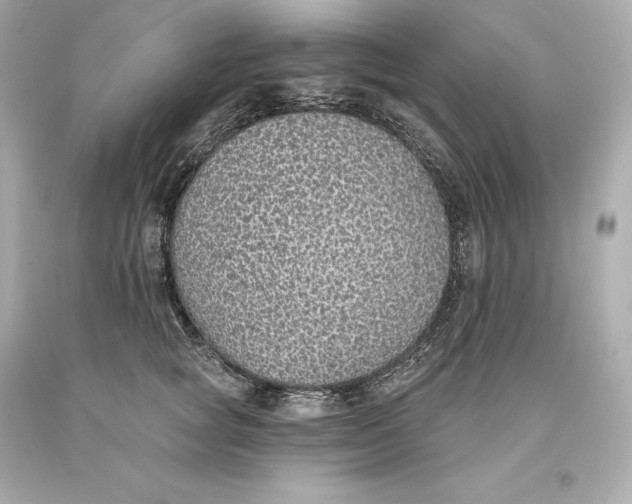 X0000093620757200711051239