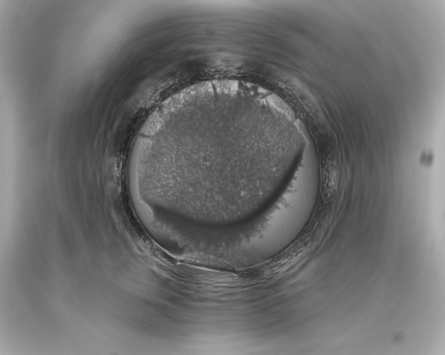 X0000093620759200711051239