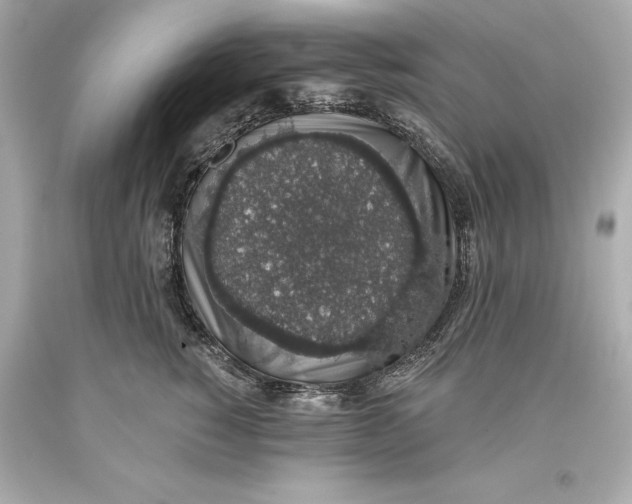 X0000093620760200711051239