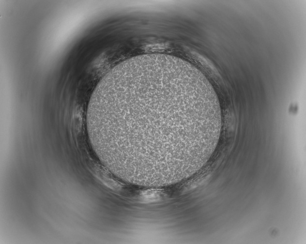 X0000093620761200711051239