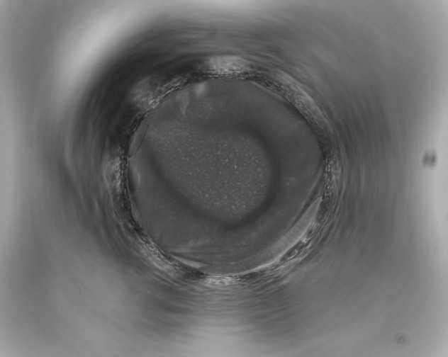 X0000093620762200711051239