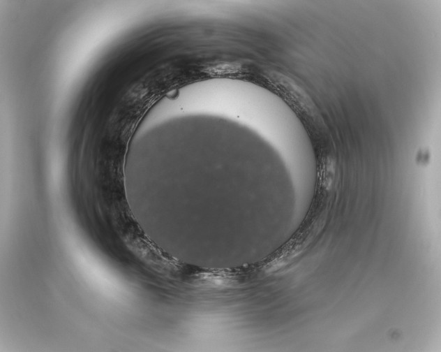 X0000093620763200711051239