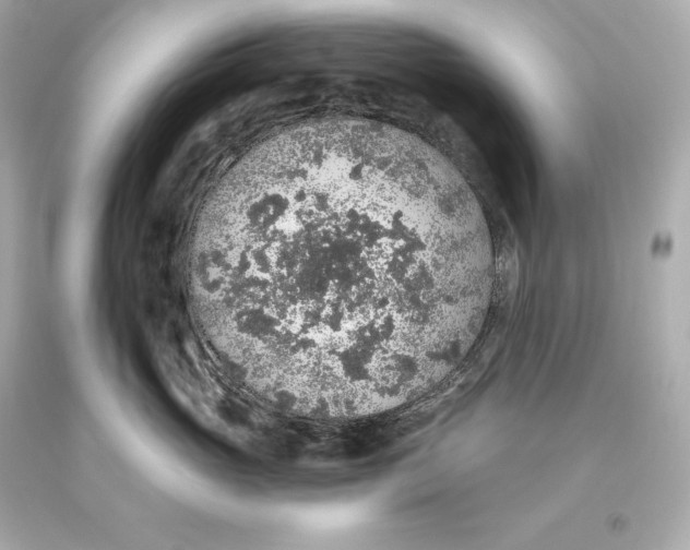 X0000093620765200711051239