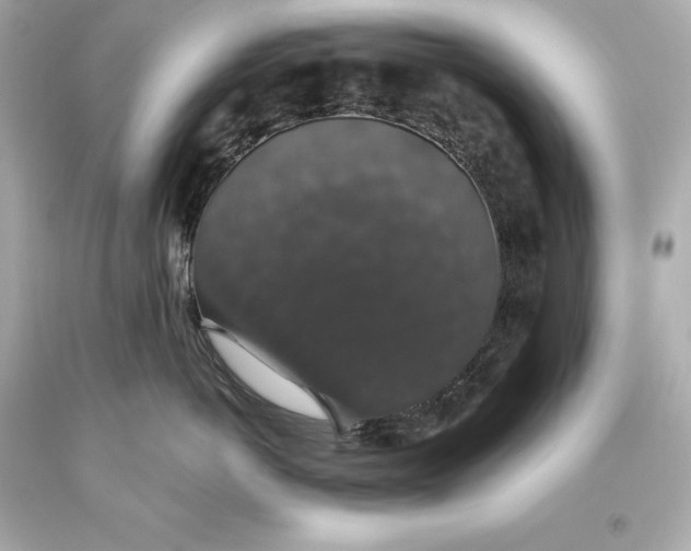 X0000093620766200711051239