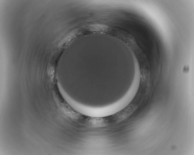 X0000093620767200711051239