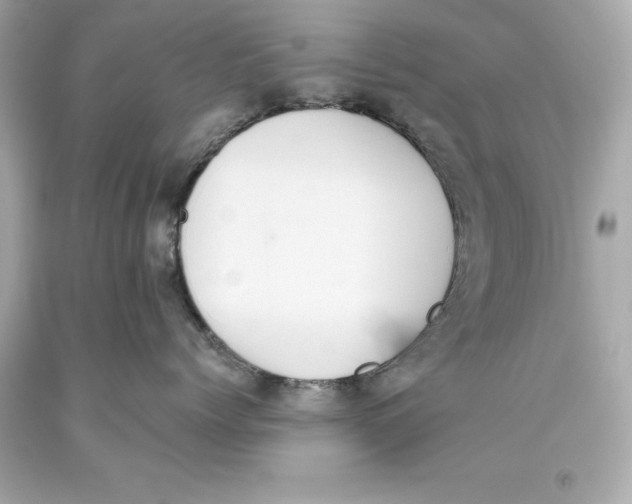 X0000093620768200711051239