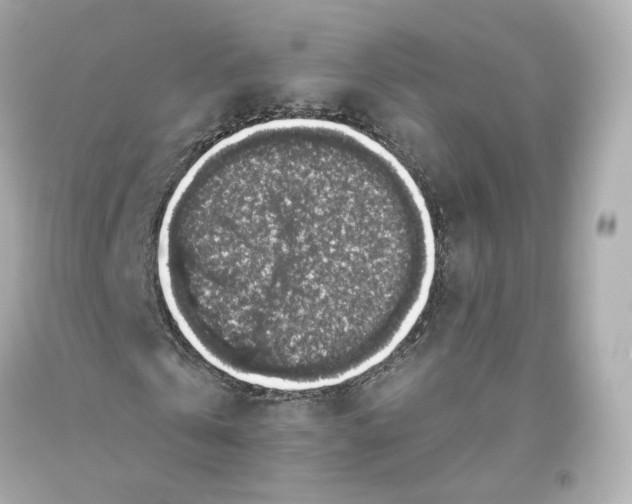 X0000093620769200711051238