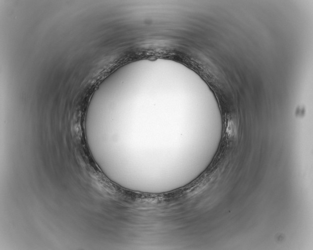 X0000093620771200711051238