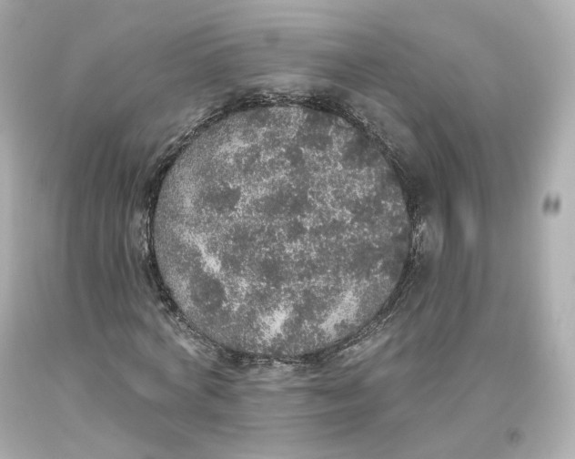 X0000093620772200711051238