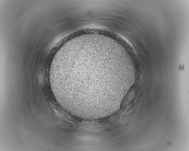 X0000093620775200711051238