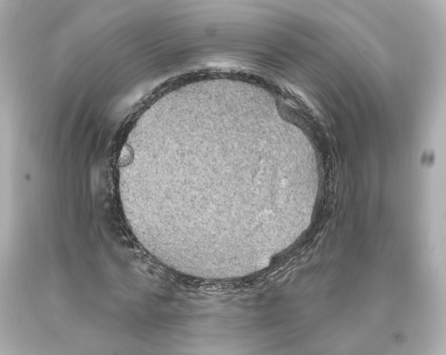 X0000093620776200711051238