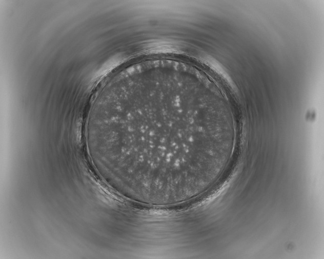 X0000093620777200711051238