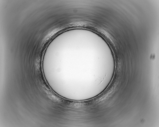 X0000093620778200711051238