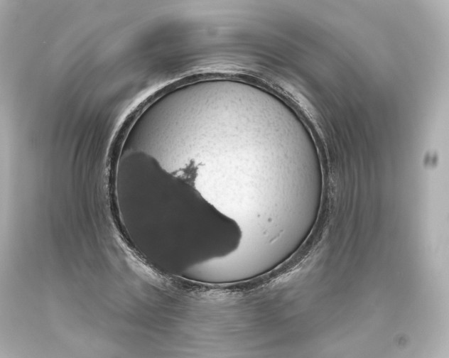 X0000093620779200711051238