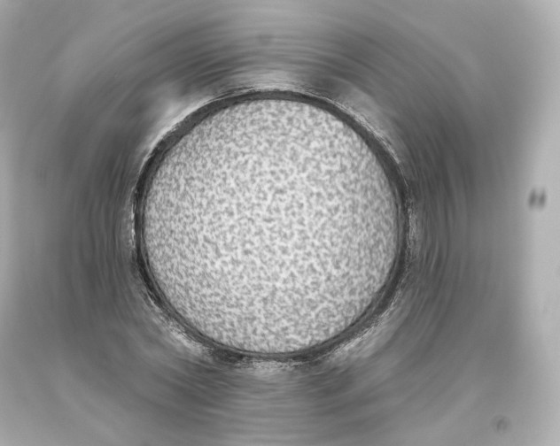 X0000093620782200711051238