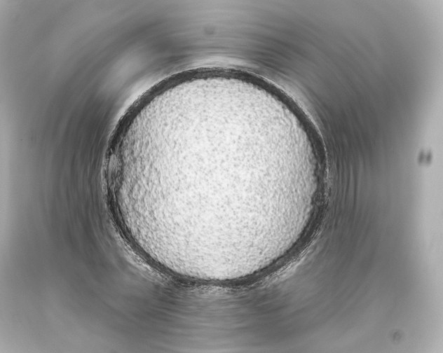 X0000093620783200711051238