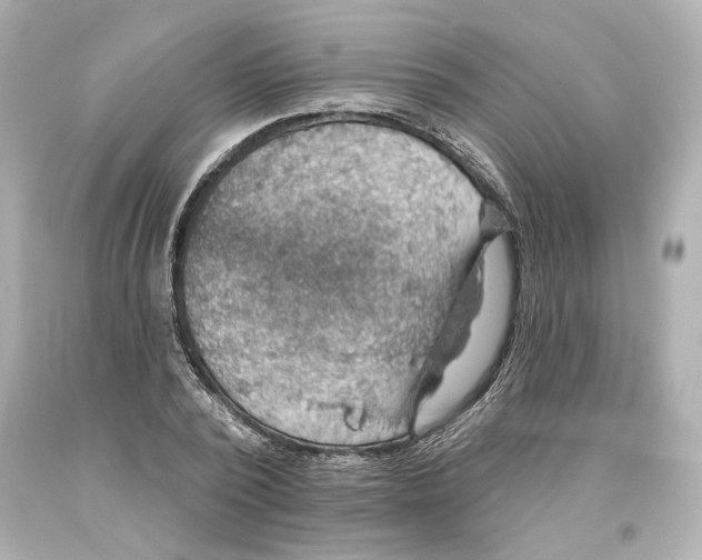 X0000093620784200711051238