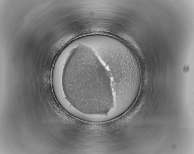 X0000093620785200711051238