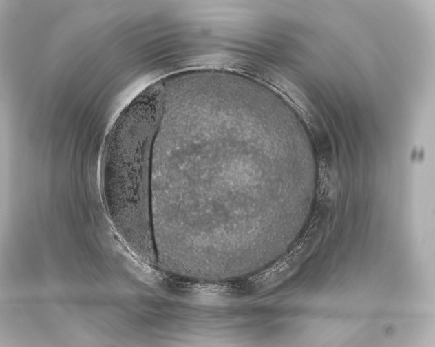 X0000093620788200711051238