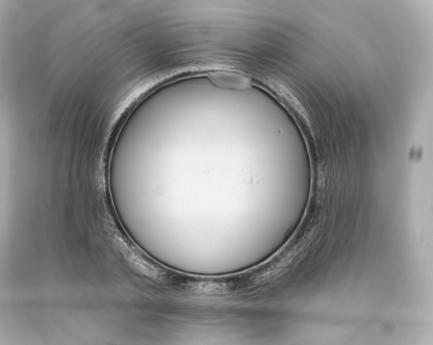 X0000093620789200711051238