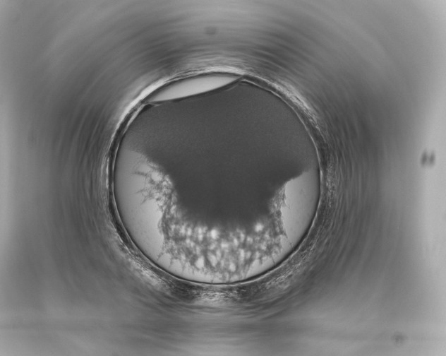 X0000093620790200711051238