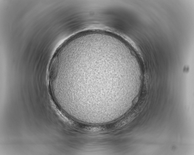 X0000093620791200711051238