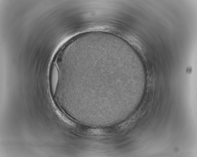 X0000093620792200711051238