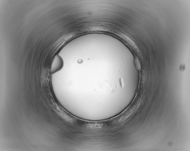 X0000093620793200711051238