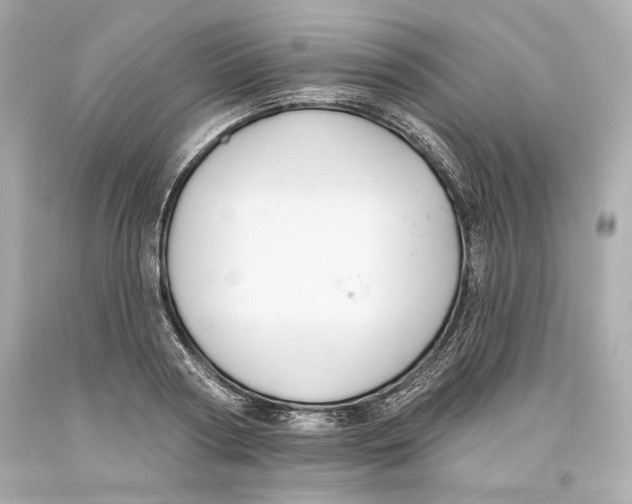 X0000093620794200711051238