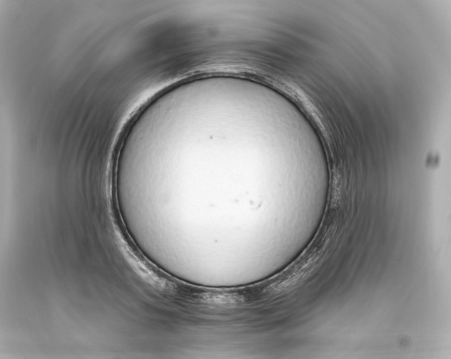 X0000093620795200711051238