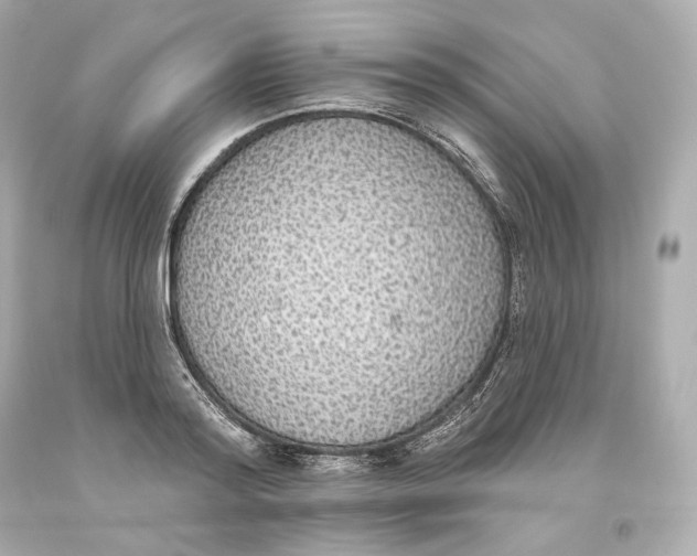 X0000093620796200711051238