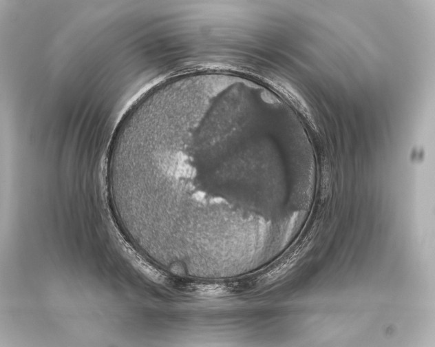 X0000093620798200711051238